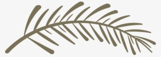 Spiritwood-pinebranch - Twig