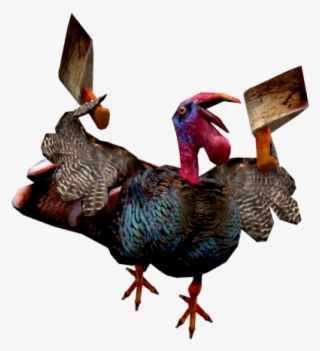 Turkey
