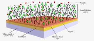 Sensor Chips For Surface Plasmon Resonance And Other - Illustration