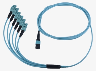 Data Center Harness B - 40 G To 10g Breakout