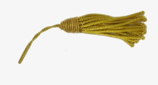 Gold Tassel Zoom - Bead