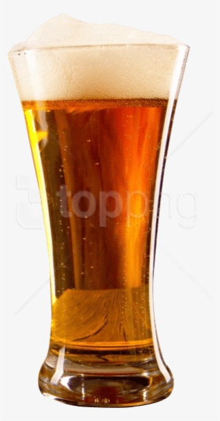 Free Png Beer Glass Png Images Transparent - Glass Of Beer Png