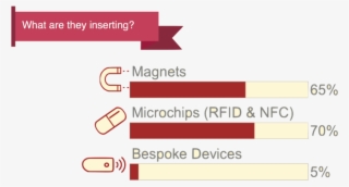 What Are They Inserting - Graphics