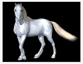 Red Dead Redemption Montado No Cavalo