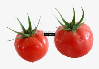 Free Png Download Tomato Png Images Background Png - Tomate Cherry