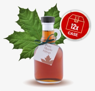 1280 X 1280 0 - Green Maple Leaf