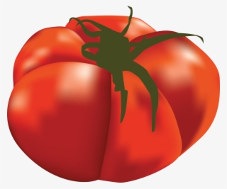 Plum Tomato