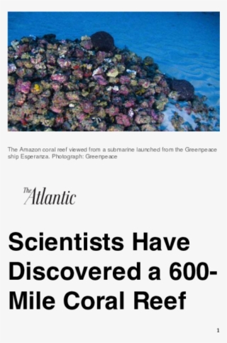 Scientists Discover New 600- Mile Coral Reef In Brazil - Atlantic