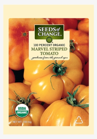 Organic Marvel Striped Tomato Seeds - Organic