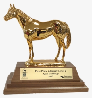Aqha Level 2 Champion Duplicate Trophy - Sorrel