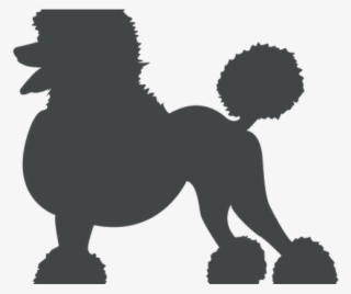 Poodle Clipart Svg - Dibujo Poodle Png