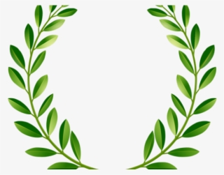 Eucalyptus Clipart Transparent - Green Leaf Clipart Png