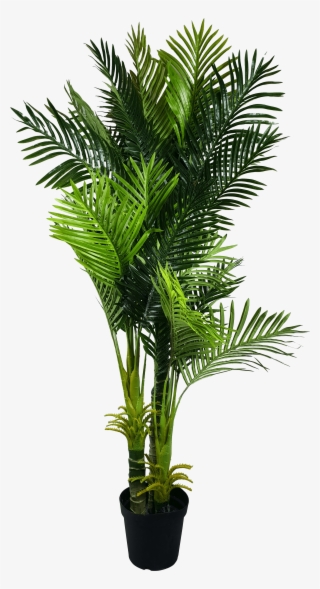 Multi Trunk Artificial Hawaii Palm Tree - Fishtail Palm Indoor