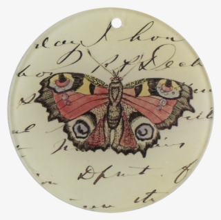 Moth
