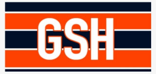 Chicago Bears Iron On Stickers And Peel-off Decals - Chicago Bears Logos, Uniforms, And Mascots