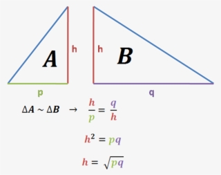 If The Triangles Are Similar, We Can Write That The - Diagram