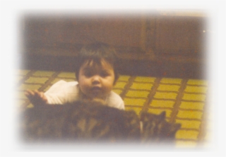 Sacramento Pet Sitter, Sacramento Pet Sitters, Sacramento - Baby