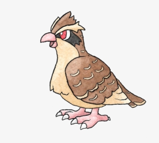 The New 151 - Illustration