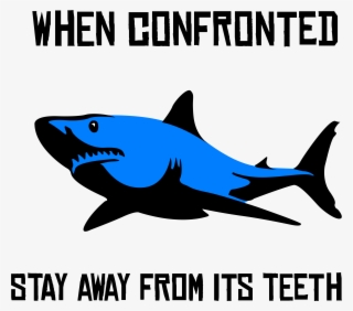 Shark Attack Watch Out - Great White Shark