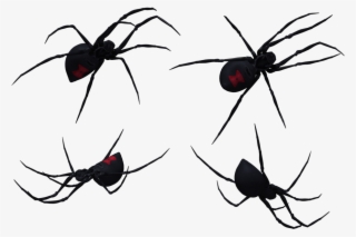Mosquito Formiga Vi Va - Southern Black Widow