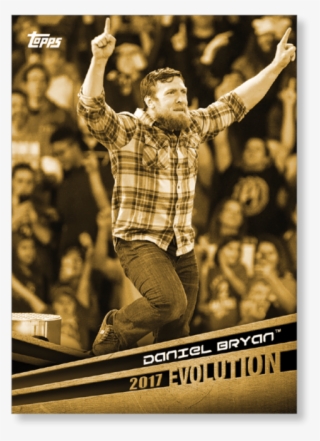 2018 Topps Wwe Daniel Bryan - Poster
