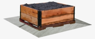 Plywood
