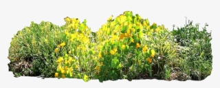 900 X 450 9 - Border Garden Png