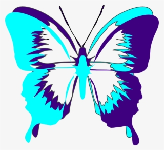 Butterfly Drawing Images Download