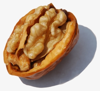 Cerneaux De Noix - Walnut