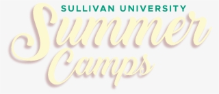 Summer Camp - Nyu