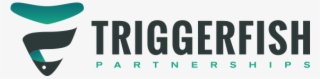 Triggerfish - Graphic Design