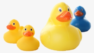 Monty Ducks - Bath Toy