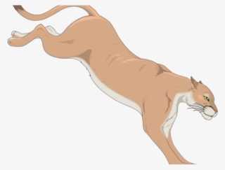 Cougar Clip Art