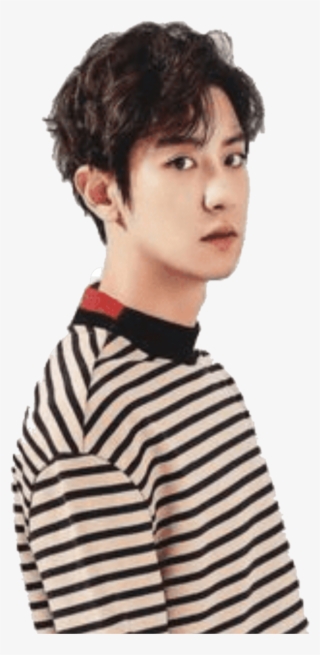 Exo Chanyeol Parkchanyeol Sticker - Exo 2017 Season's Greetings