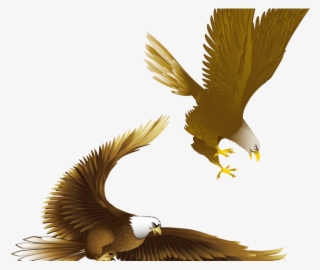Drawn Bald Eagle Vector - Eagle Drawing Art