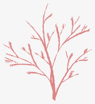 Free Tree - กิ่ง ไม้ Png