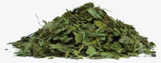 Herbs Png - Tea Leaves Transparent Background