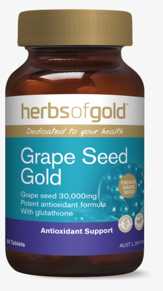 Herbs Of Gold Memory