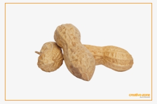 Peanuts, Arachis In Shell - Peanut
