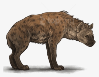 Free Png Hyena Png Images Transparent - Spotted Hyena