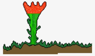 The Lone Thorn Flower