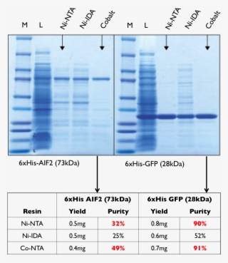 Nickel Vs Cobalt - Cobalt Vs Nickel Imac