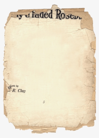 Old Paper Texture - Paper