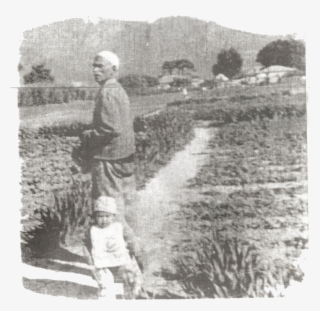 Solomon Family Win Case To Develop Land - Group Areas Act Constantia