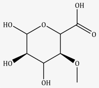 4 O Methyl Β D Glucuronic Acid Compound Image - Diagram