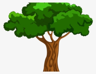 Tree Clipart Clipart Mango Tree - Cartoon Big Tree Png