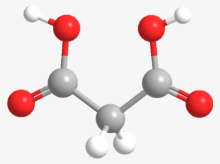 Malonic Acid - Illustration