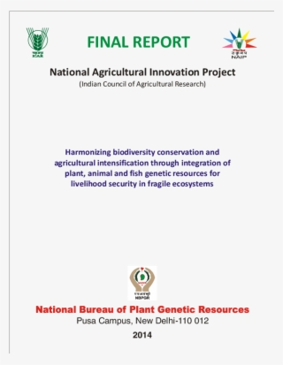 Pdf - Personal Capital