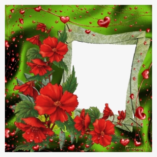 Photo Love02 - Hawaiian Hibiscus