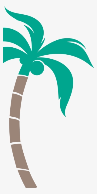 Palm Tree